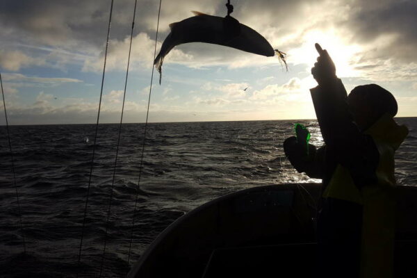 five-kings-fishing-co-1200px-007-dawn