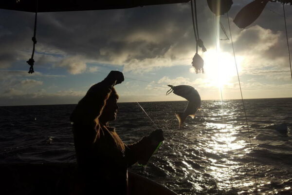 five-kings-fishing-co-1200px-008-surise