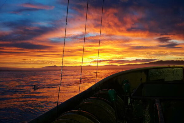 five-kings-fishing-co-1200px-019