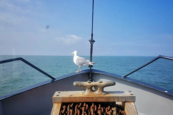 five-kings-fishing-co-1200px-024
