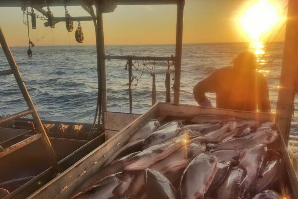 five-kings-fishing-co-1200px-025