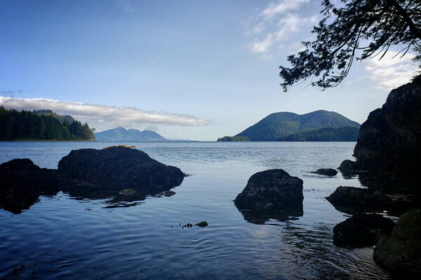 five-kings-fishing-co-1200px-030