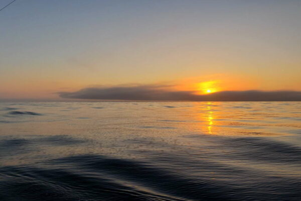 five-kings-fishing-co-1200px-042
