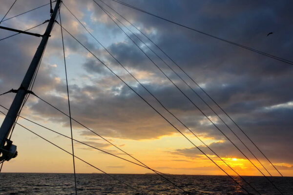 five-kings-fishing-co-1200px-044
