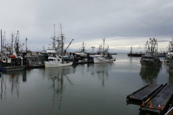 five-kings-fishing-co-1200px-060